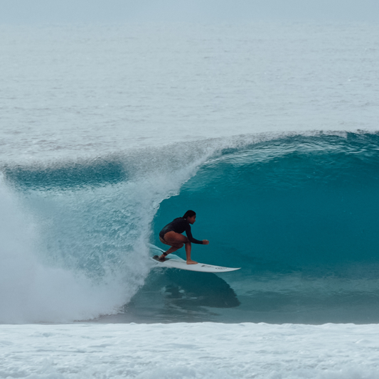 5% Project With Lilliana Bowrey