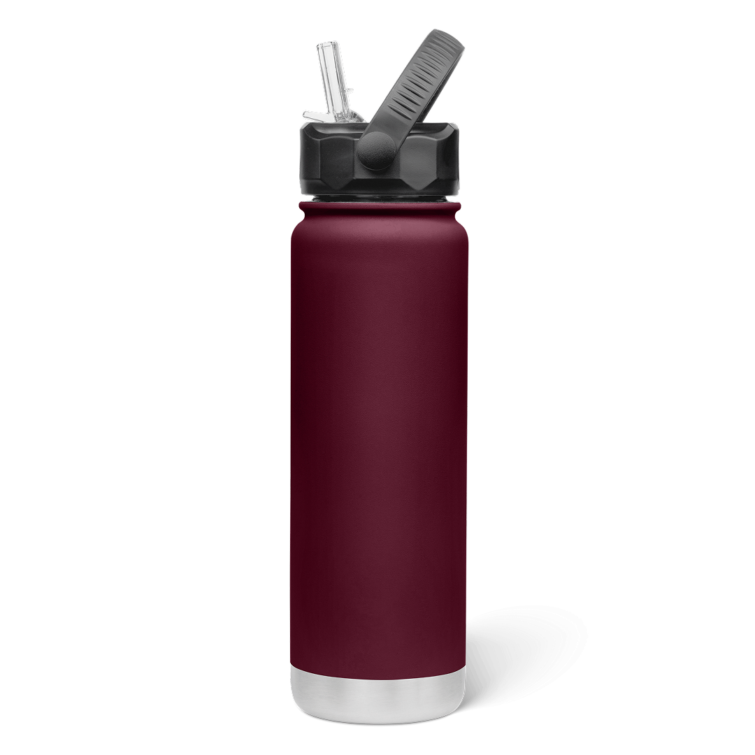 750mL Insulated Bottle w/ Straw Lid