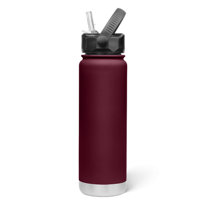 750mL Insulated Bottle w/ Straw Lid