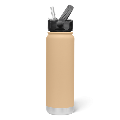 750mL Insulated Bottle w/ Straw Lid