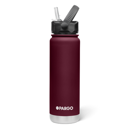 750mL Insulated Bottle w/ Straw Lid