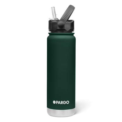 750mL Insulated Bottle w/ Straw Lid