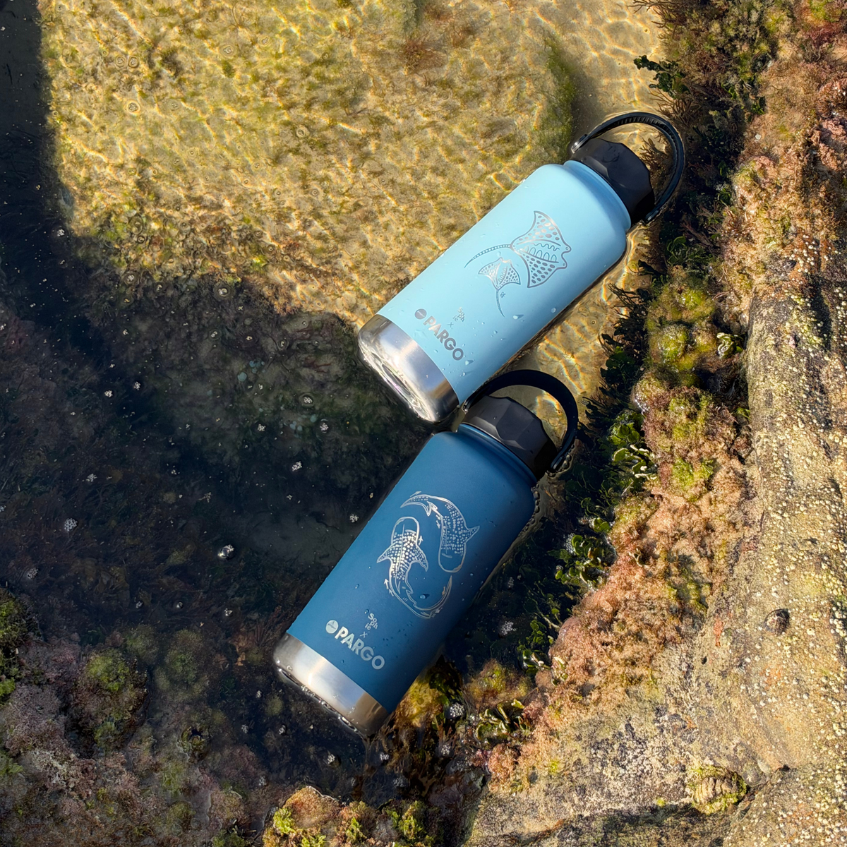 BAY Blue