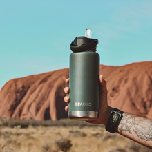 Load image into Gallery viewer, 950mL Insulated Bottle w/ Straw Lid
